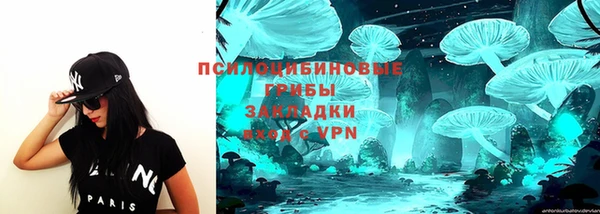 а пвп мука Ельня