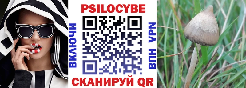 дарнет шоп  Высоцк  Псилоцибиновые грибы MAGIC MUSHROOMS 